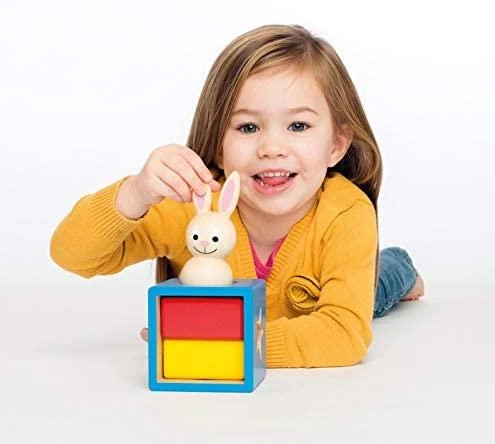 Loginis žaidimas SMART GAMES Bunny Boo