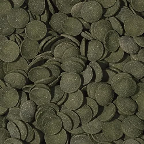 Tropical Žalias Algae Wafers 1000ml