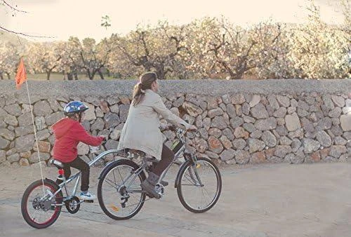 WeeRide Co-Pilot priekaba sidabrinė