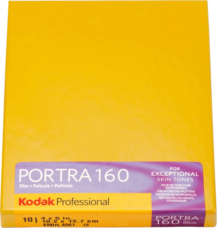 KODAK Portra 160 4x5 10 lapų