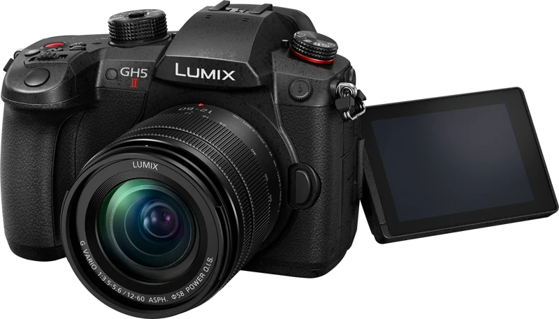 Panasonic Lumix G GH5 II (DC-GH5M2M) + Panasonic LUMIX G Vario 12-60mm f/3.5-5.6 Asph. Power OIS (H-FS12060) (Juodas)