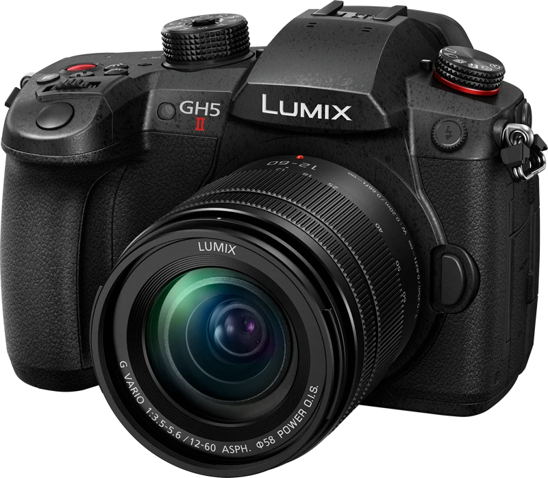 Panasonic Lumix G GH5 II (DC-GH5M2M) + Panasonic LUMIX G Vario 12-60mm f/3.5-5.6 Asph. Power OIS (H-FS12060) (Juodas)