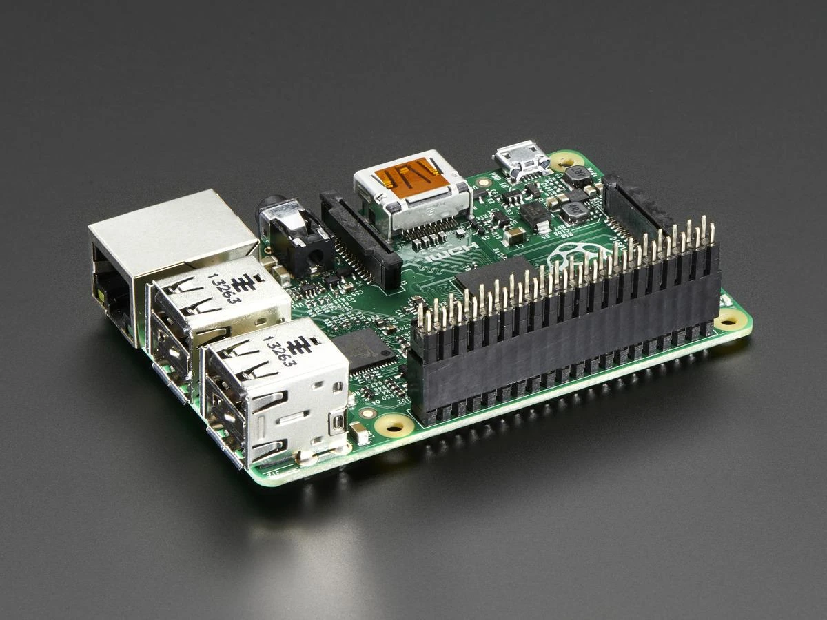 GPIO lizdas prijungtas prie Raspberry Pi plokštės