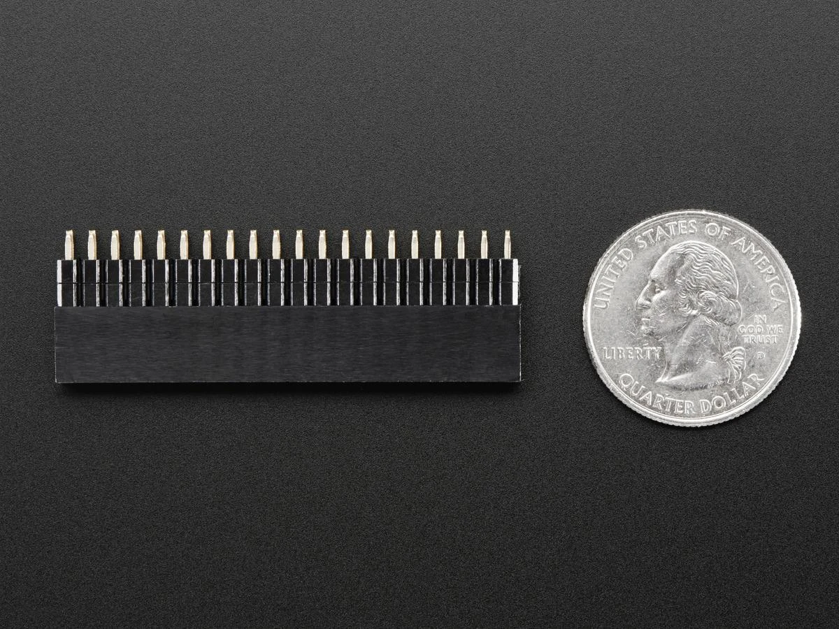 GPIO karpomas lizdas 40 kontaktų su moneta masteliui