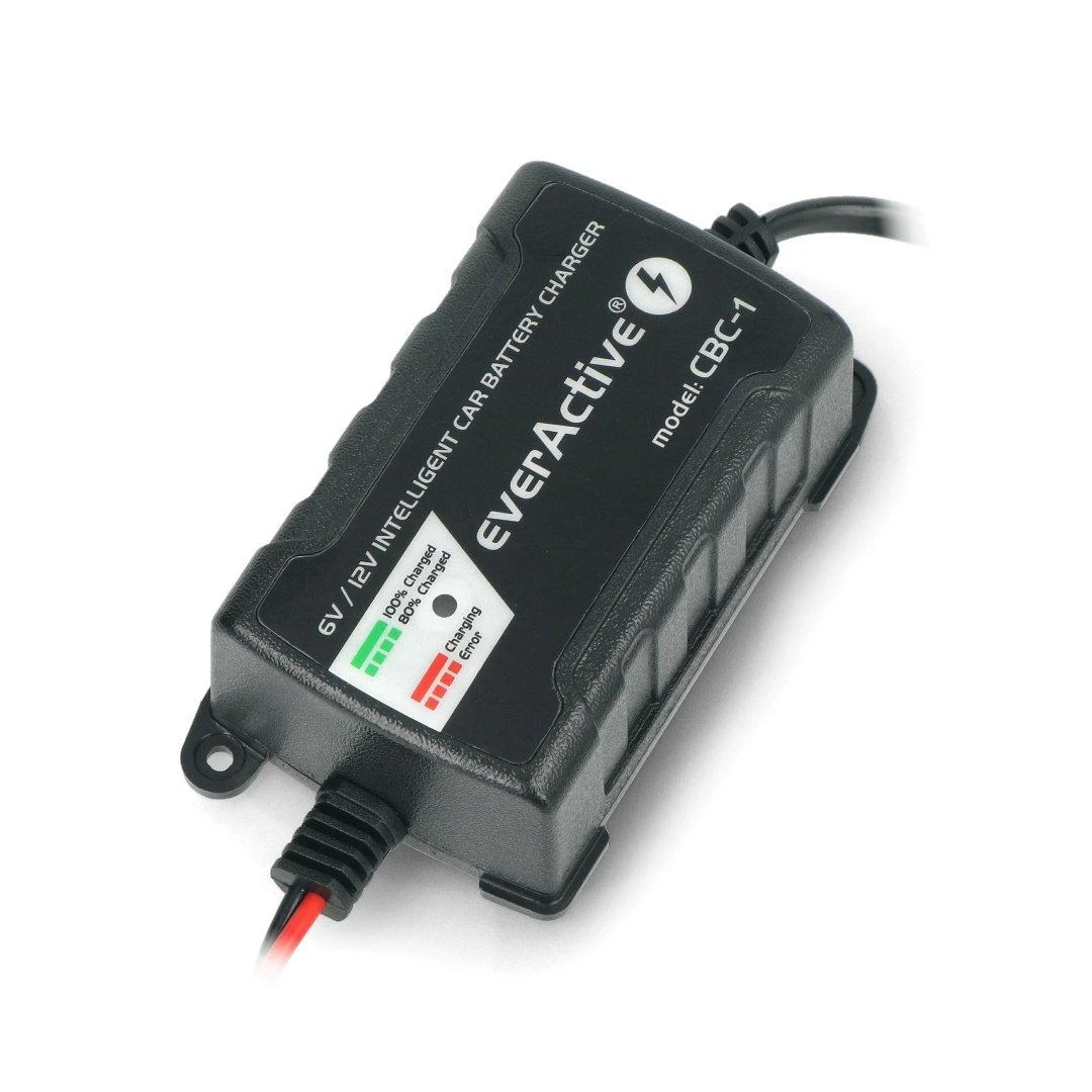 everActive universalus automatinis 6/12V 1000mA akumuliatorių kroviklis