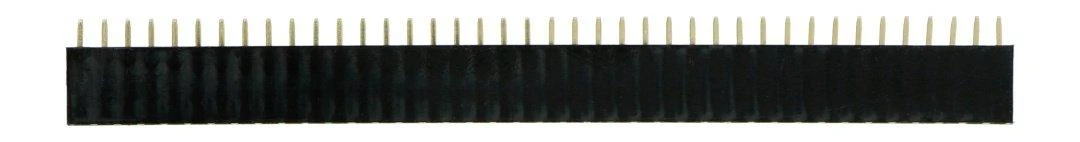 40 kontaktų moteriška jungtis, 2.54mm rastras