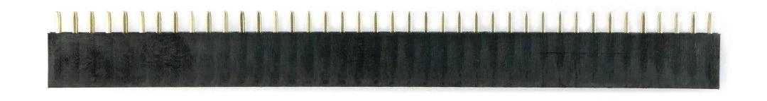 Auksinių kaiščių juosta 40 kontaktų