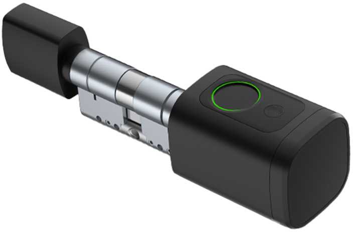 Avatto SDL-V1-B60 60mm Juodas digital lock cylinder