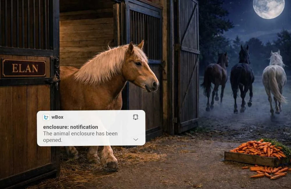 BleBox openSensor – WiFi durų ir langų atidarymo jutiklis – juodas