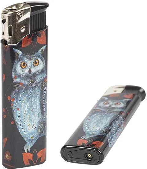 Blow Maitinimas dekoderiams 12V/2.5A