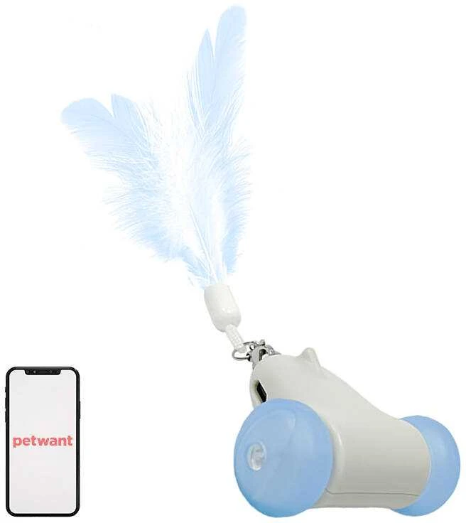 Cat Toy Racing Chase Petwant MDE2800