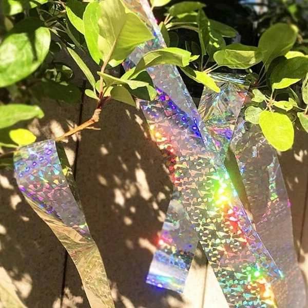 Oem Dvipusė holo atspindinti juosta - 24mm - 50m - paukščių atbaidiklis