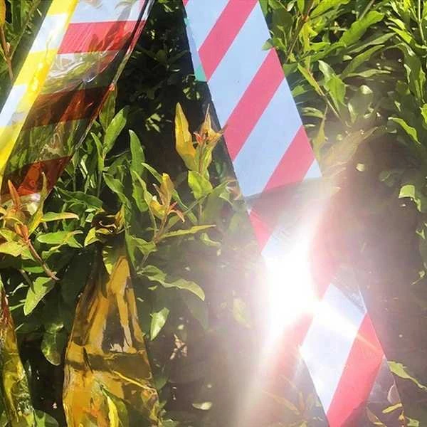 Dvipusė šviesą atspindinti juosta tarp medžių lapų