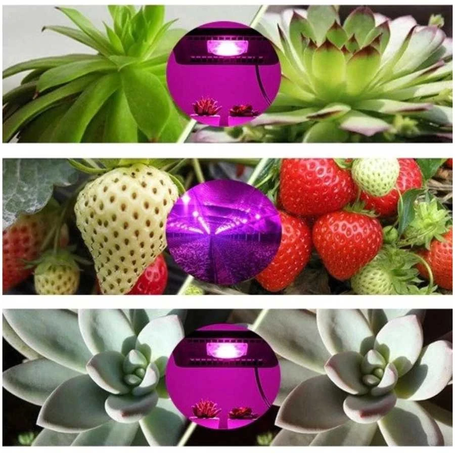 Galingas LED 3W - 40-50lm - Pilnas spektras - 380-840nm - Augalams ir gėlėms auginti