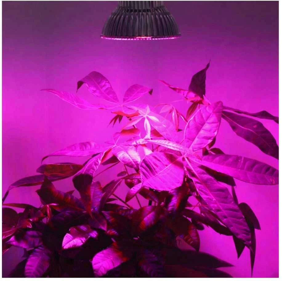 Galingas LED 3W - 40-50lm - Pilnas spektras - 380-840nm - Augalams ir gėlėms auginti