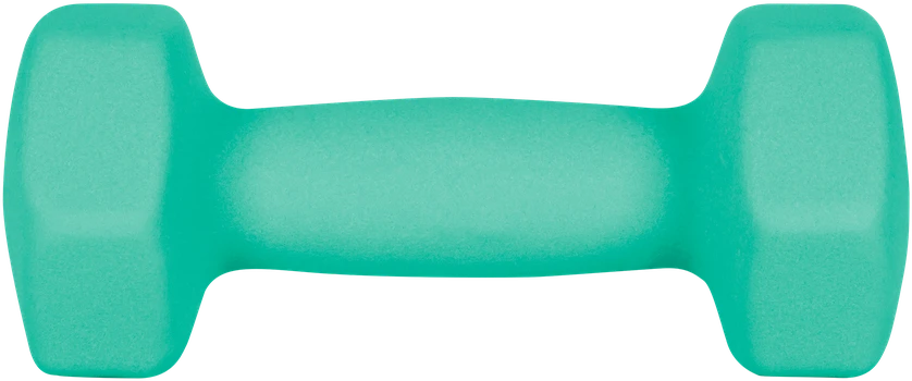 HEX ketaus neopreno hanteliai 2x3kg, REBEL ACTIVE
