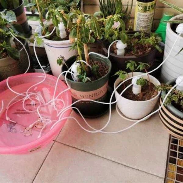 Oem Keramikinis laistytuvas - baltas - Automatinis lašintuvas augalams laistyti