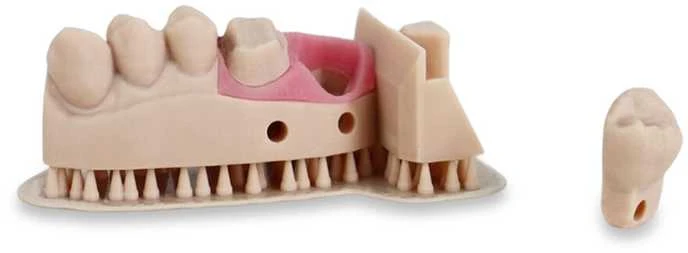 Liqcreate dantų modelis Pro rusvai gelsvas