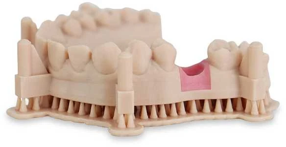 Liqcreate dantų modelis Pro rusvai gelsvas