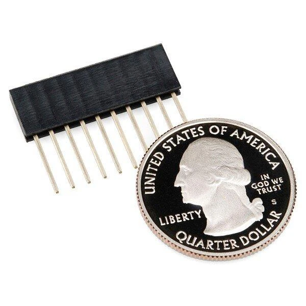 Karpomas lizdas 1x10 su 2.54mm kaiščiais šalia monetos