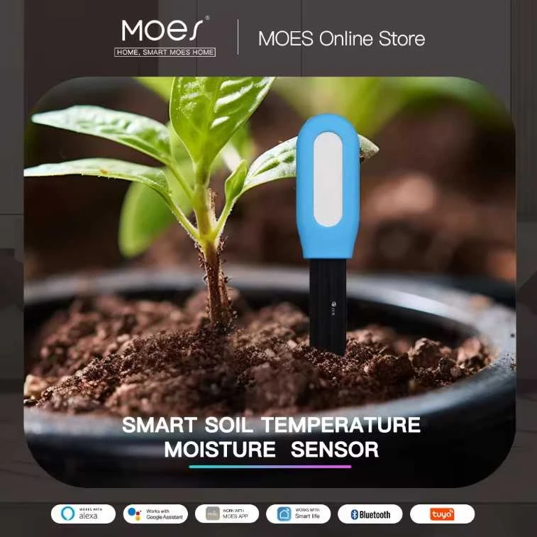 Moes Išmanus augalų dirvožemio drėgmės ir temperatūros matuoklis, TUYA, Bluetooth