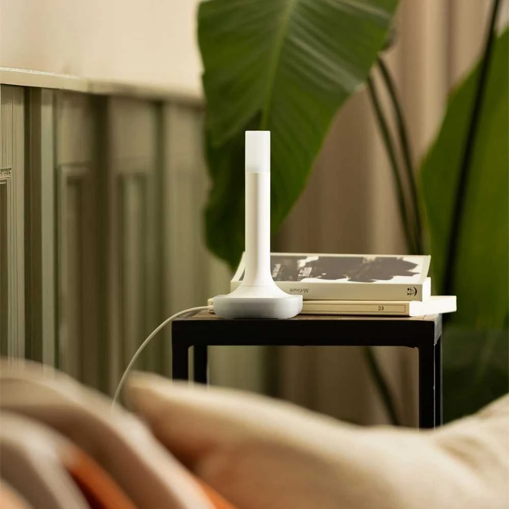 Namų asistento prijungimas ZBT-2 – suderinamas su ZigBee / Thread – Nabu Casa