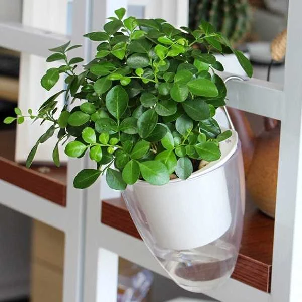 Oliz Savaime laistantis gėlių vazonas – 14.5 cm – baltas – su