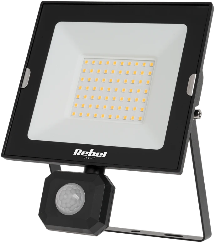 Reflektor „Rebel“ 50 W LED prožektorius su judesio ir prieblandos jutikliu, 6500 K