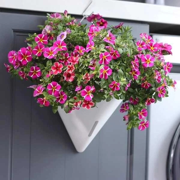 Oem Savaime laistantis gėlių vazonas – 14.5 cm – baltas – su