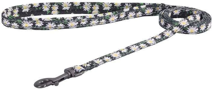 Šunų rinkinys Dogness diržai ir pavadėlis (Daisy Juodas)