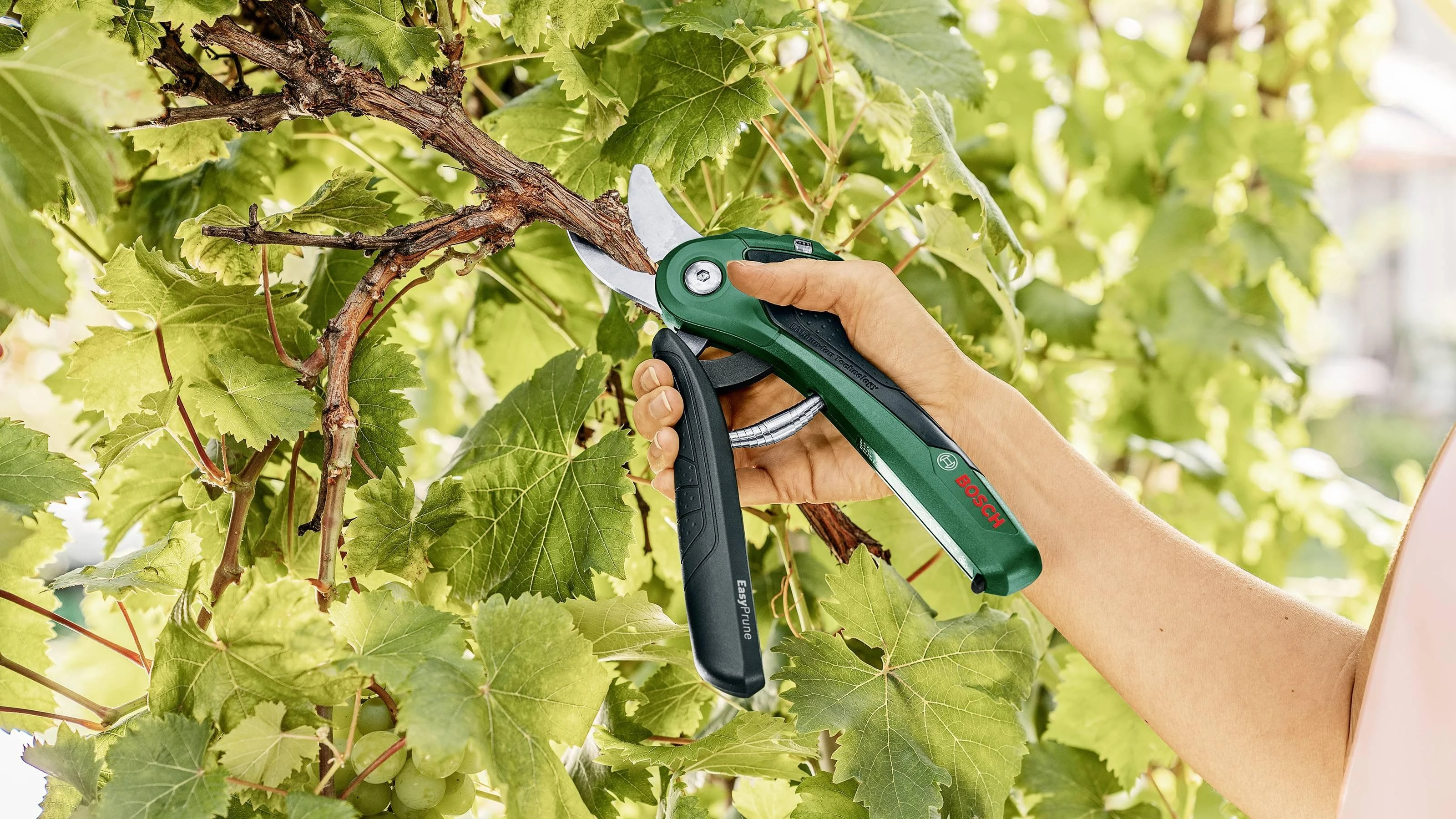 Akumuliatorinis sekatorius Bosch Easy Prune 06008B2102