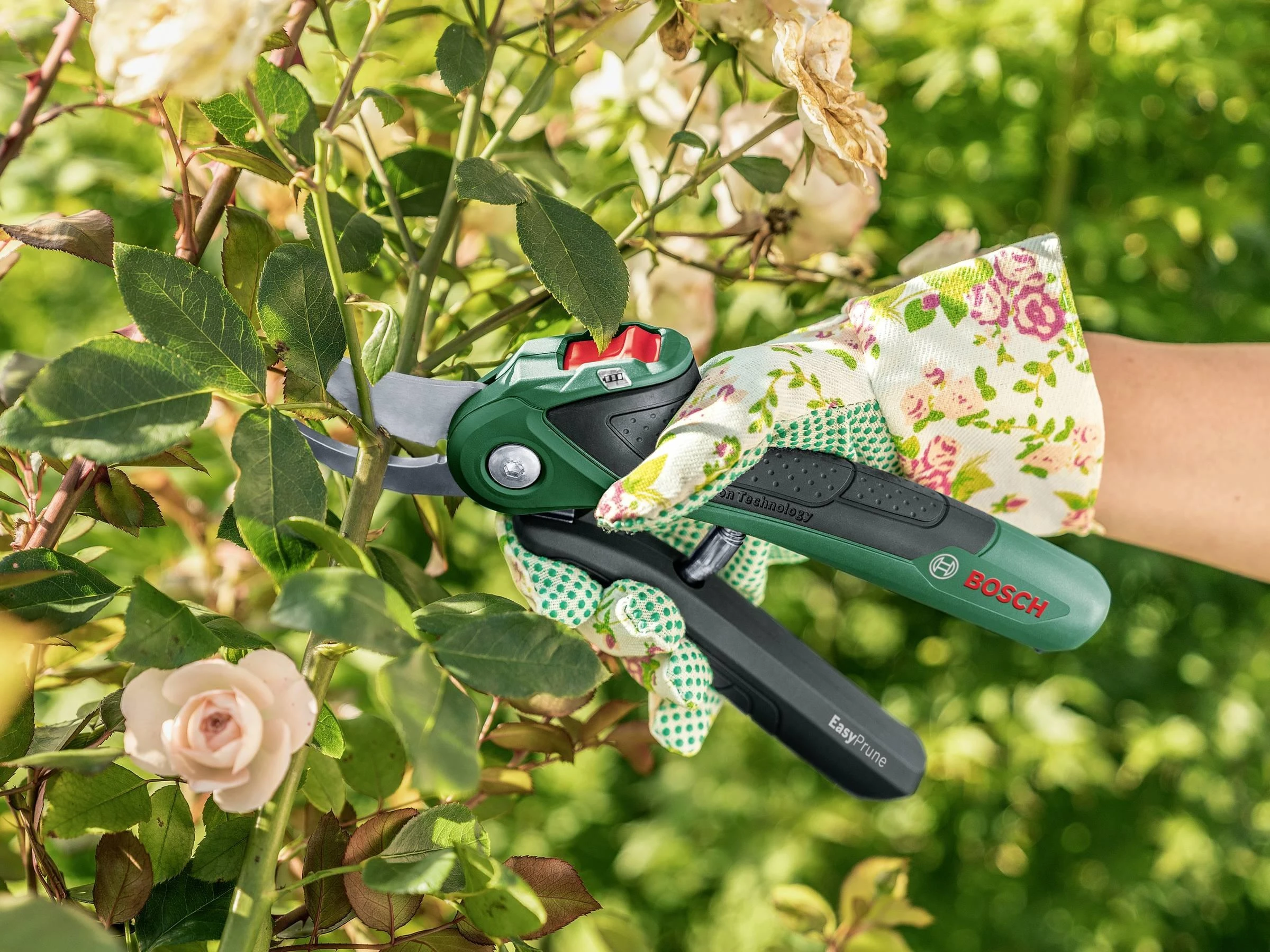 Akumuliatorinis sekatorius Bosch Easy Prune 06008B2102