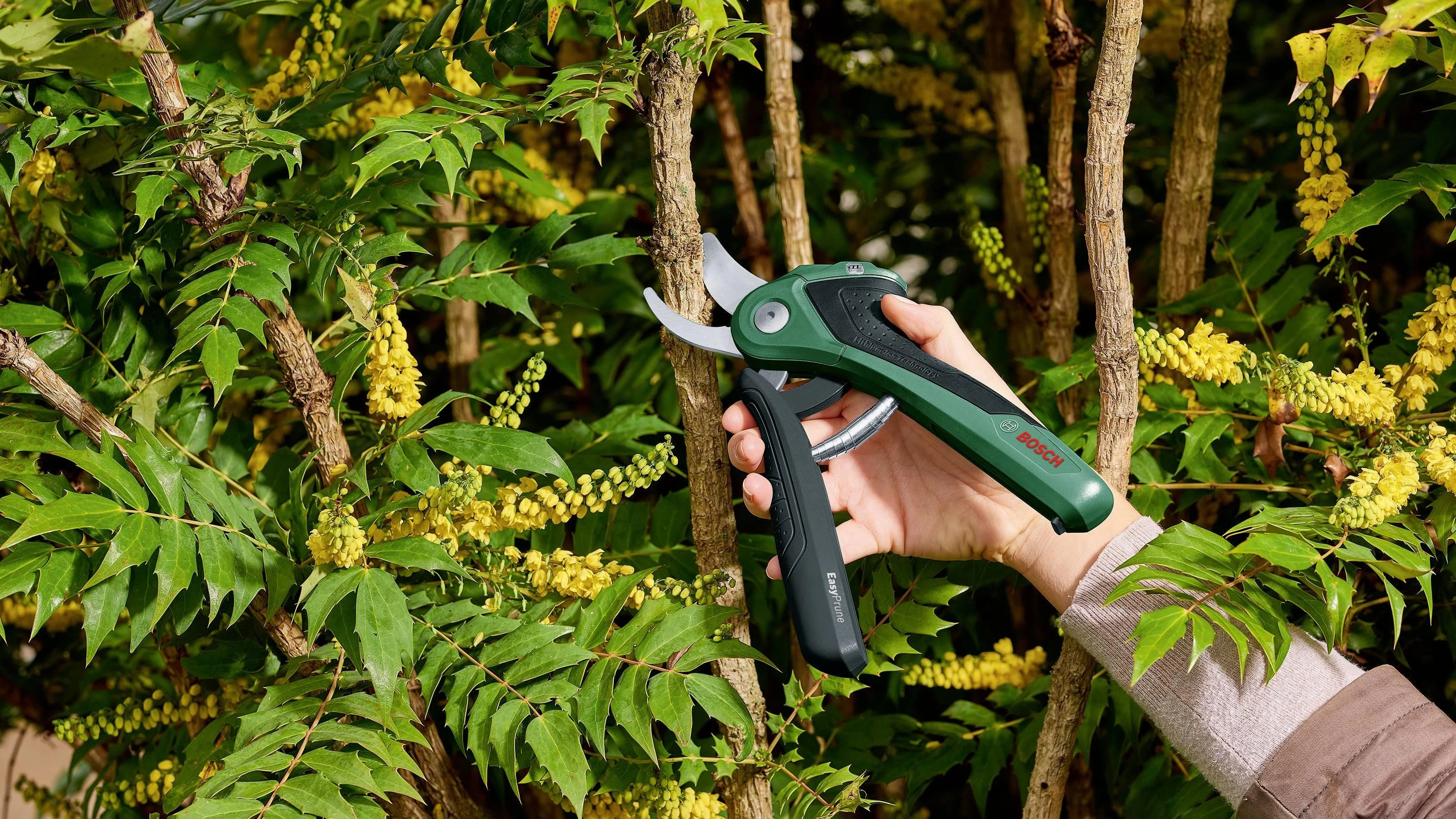 Akumuliatorinis sekatorius Bosch Easy Prune 06008B2102