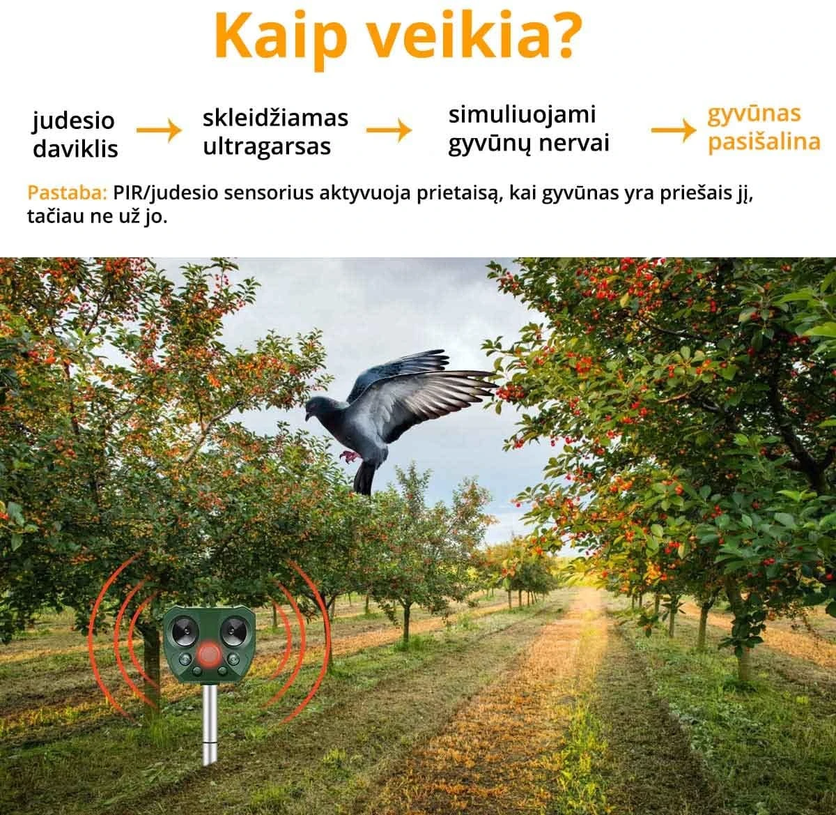Ultragarsinė kenkėjų baidyklė su saulės baterija SONIC aprašymas - Prekės nuotrauka
