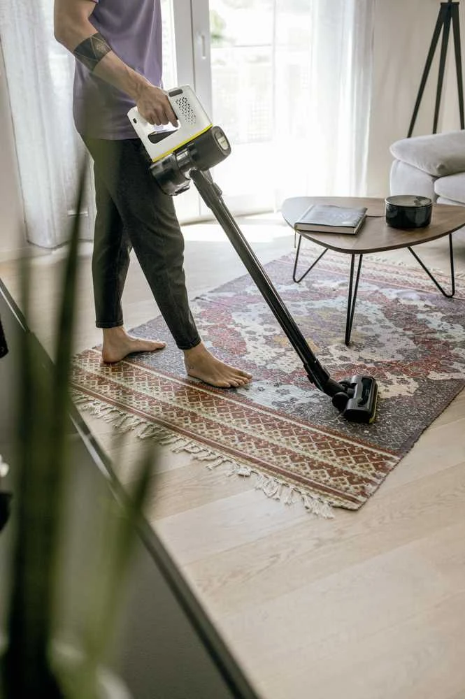 Dulkių siurblys Kärcher VC 4 myHome Pet