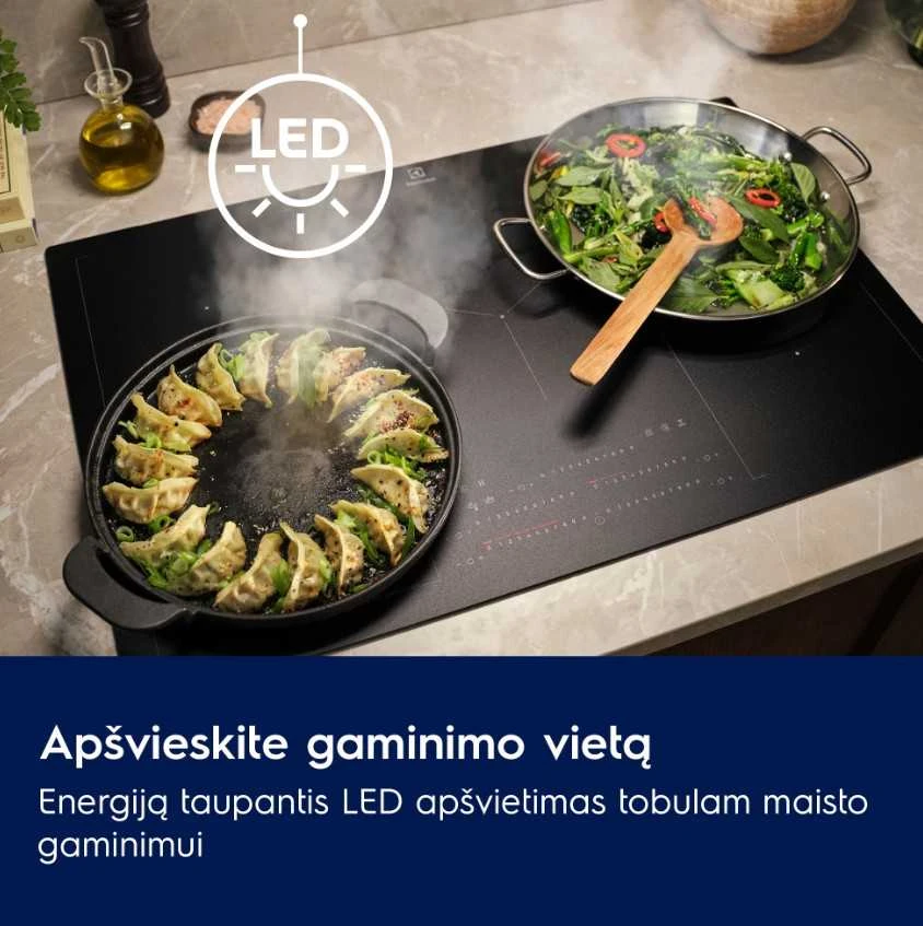 Gartraukis Electrolux LFP226S