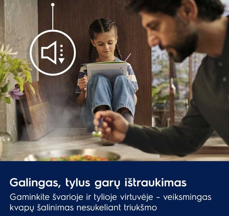 Gartraukis Electrolux LFG916K