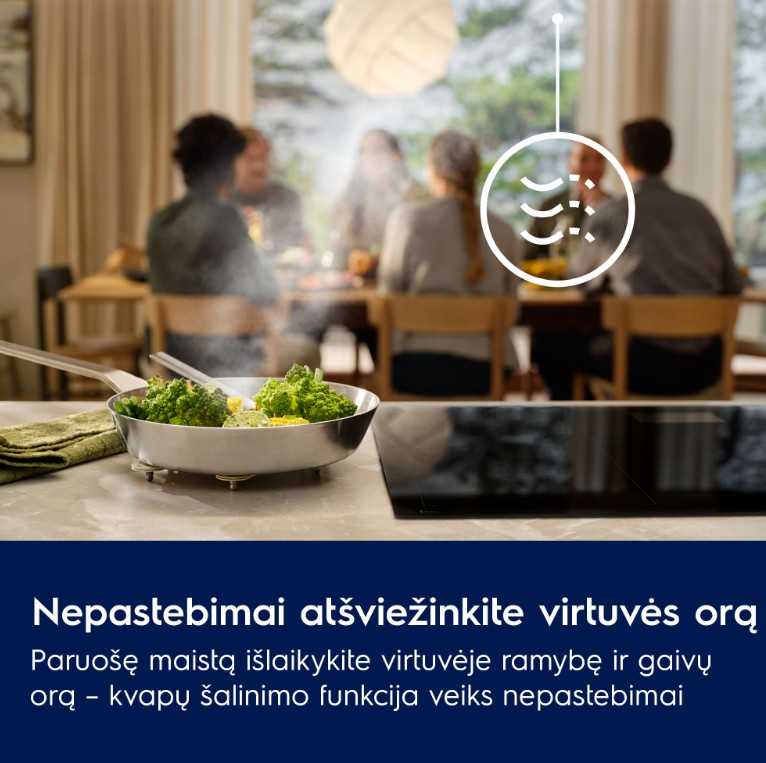 Gartraukis Electrolux LFG916K