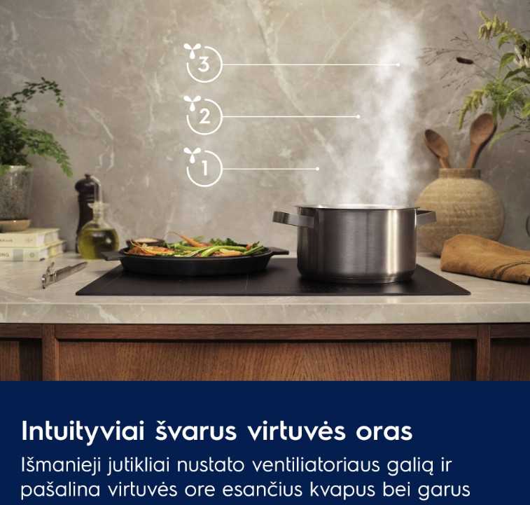Gartraukis Electrolux LFG916K