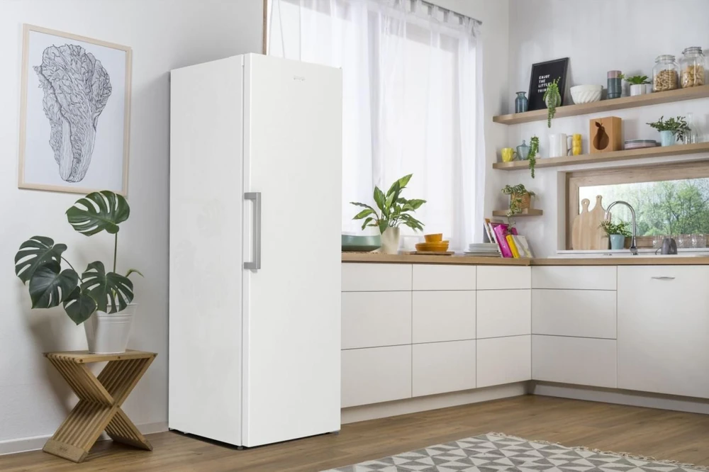 Šaldiklis Gorenje FN619EEW5