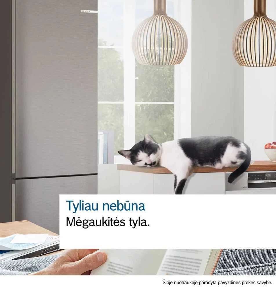 Šaldytuvas Bosch KGN39AIAU