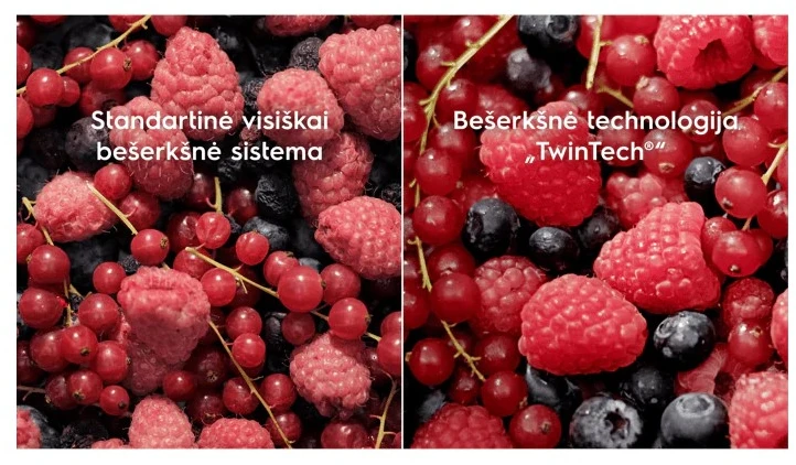 177 cm įmontuojamas šaldytuvas su šaldikliu Electrolux E8MNCC18S