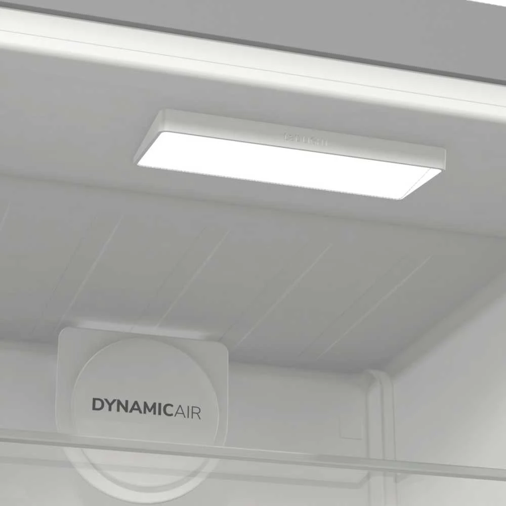 Šaldytuvas Gorenje R619EAXL6