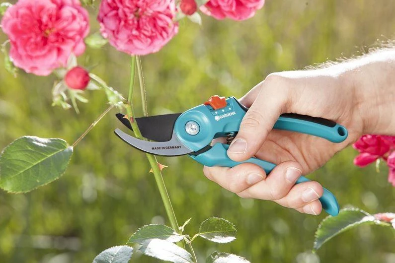 Sodo sekatorius Gardena B/S-M 8857-20 (967048001)