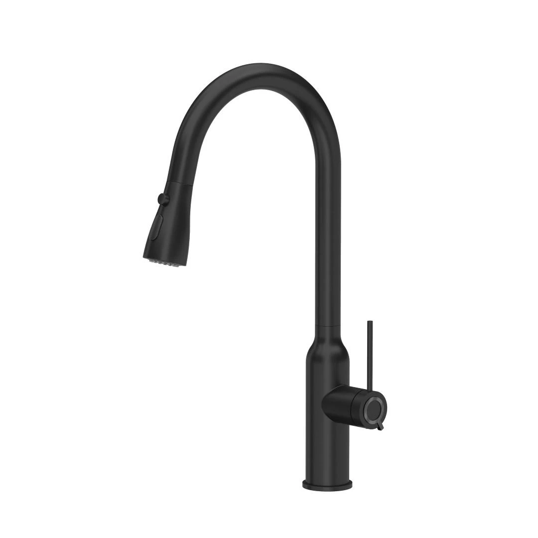 Virtuvinis maišytuvas Quadron JESSICA Q LINE 3573591_BLMQS,