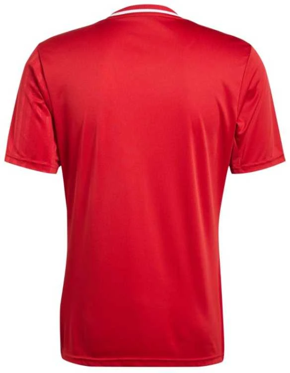 Adidas marškinėliai
