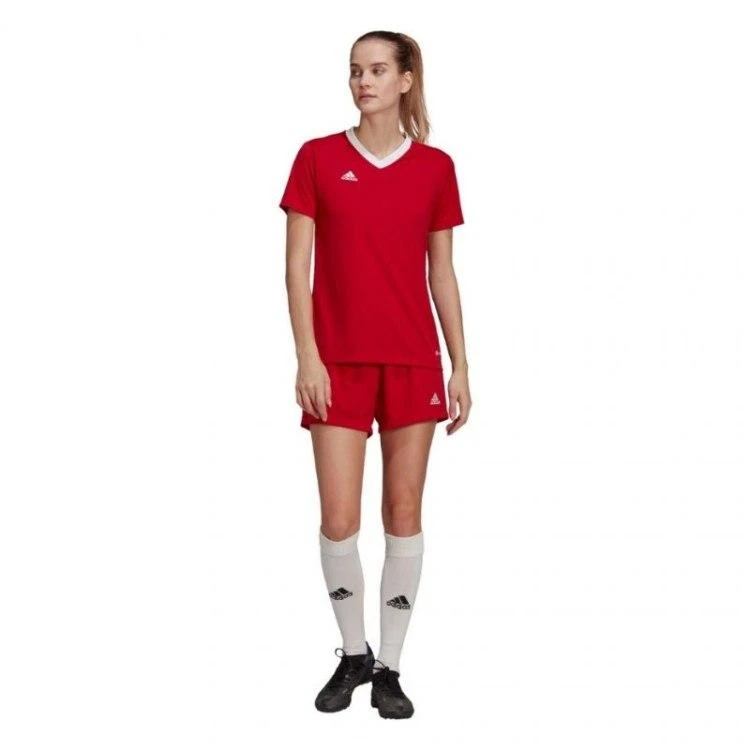 Adidas marškinėliai