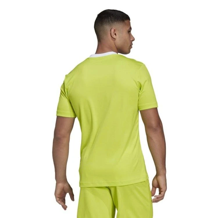 Adidas marškinėliai
