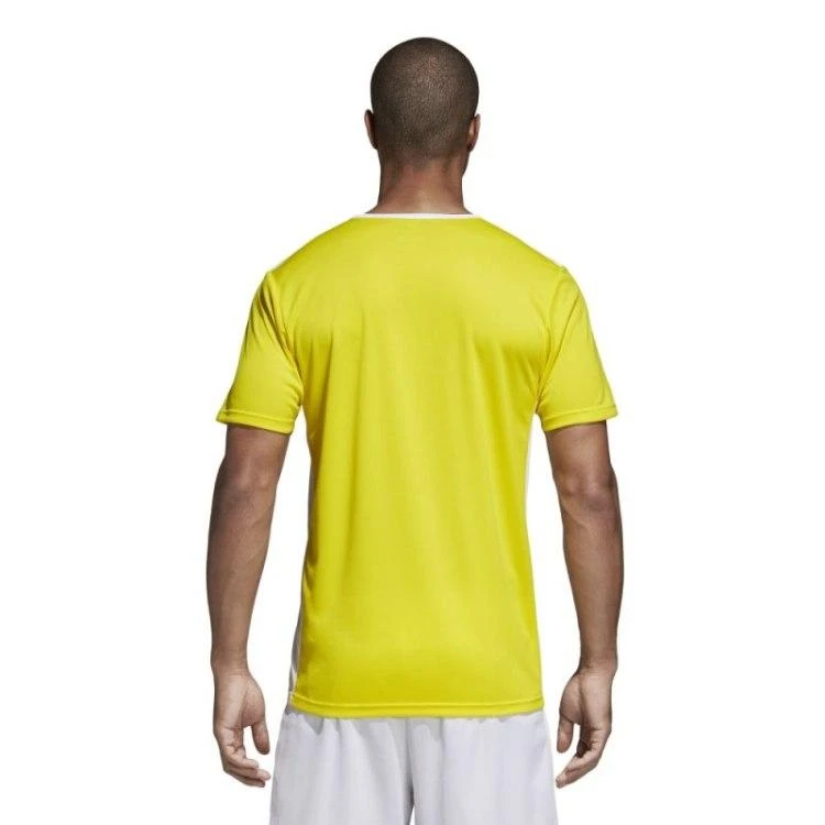 Adidas marškinėliai
