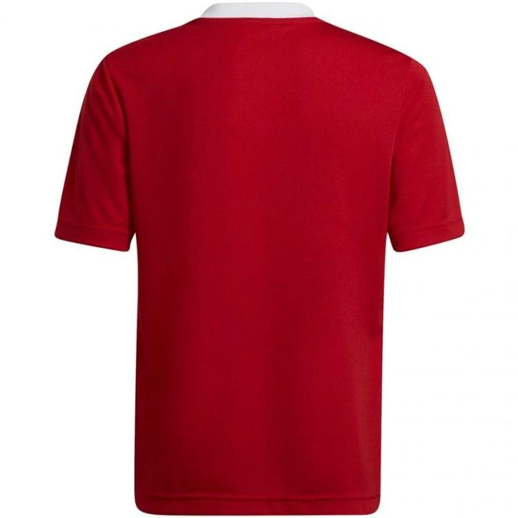 Adidas marškinėliai